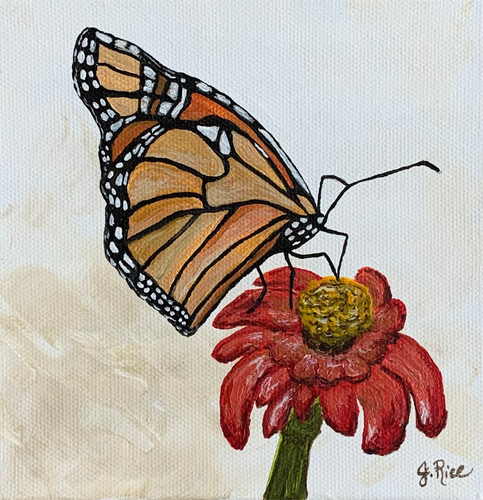 Momma Monarch