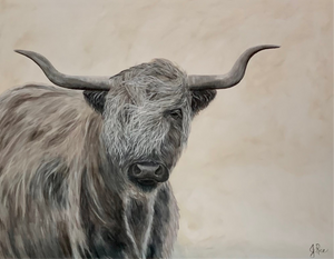 Highland Cow