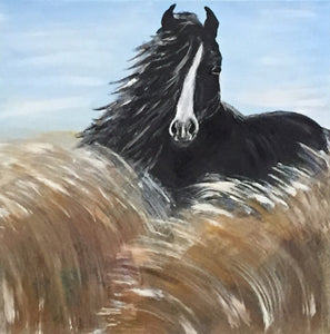 Horse in Tall Grass