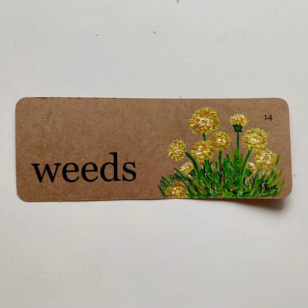 “Weeds” Dandelions