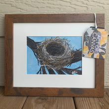 Load image into Gallery viewer, Bird Nest on Branches