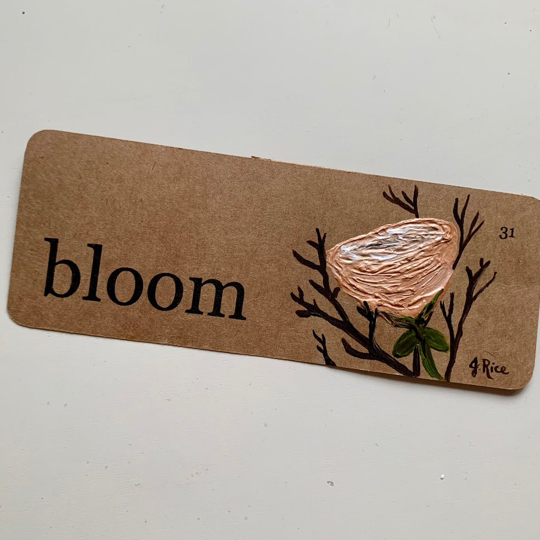 “Bloom” Peach Rose