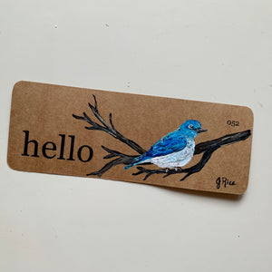 “Hello” Mountain Blue Bird