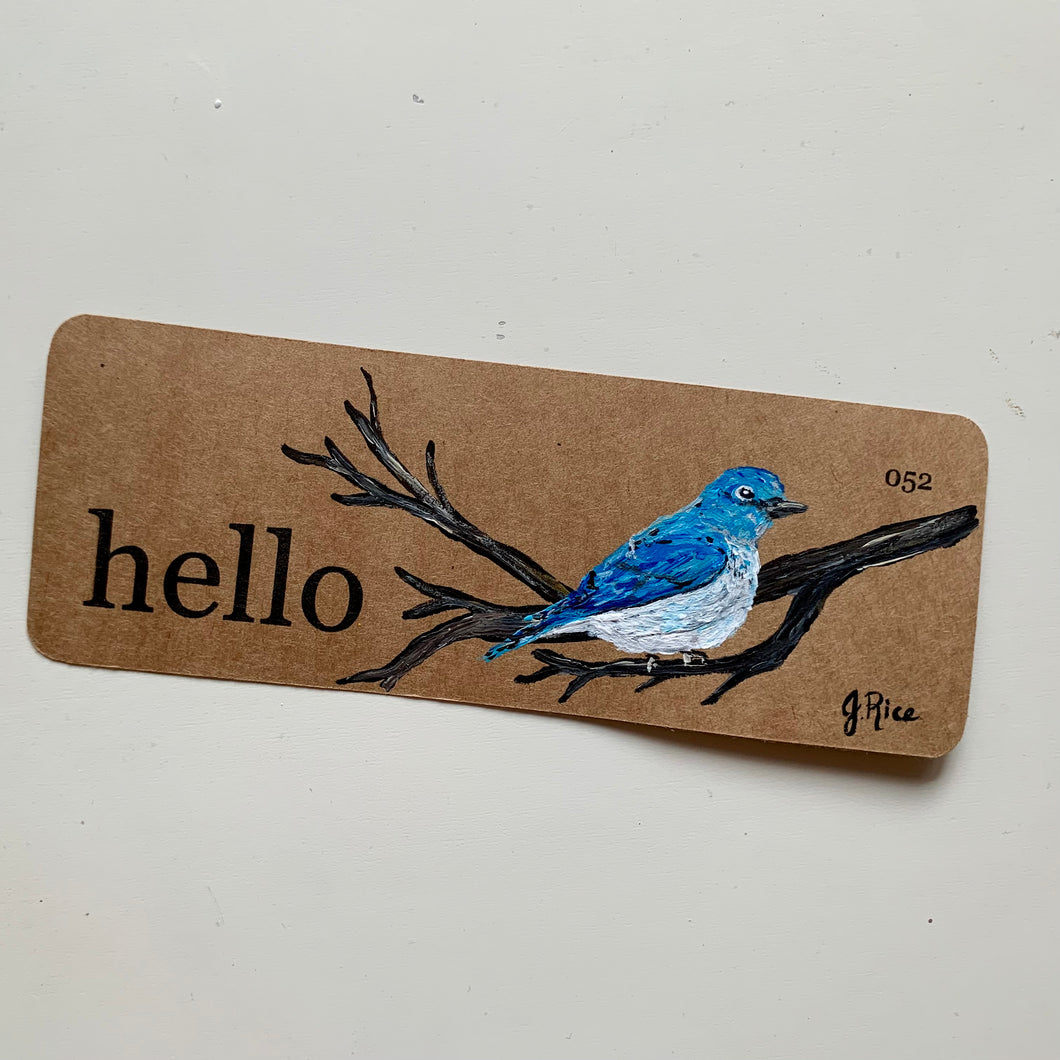 “Hello” Mountain Blue Bird