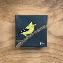 Load image into Gallery viewer, Golden Finch